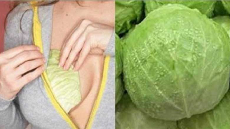 زانيوته‌ كه‌له‌م ئه‌م سووده‌شى هه‌يه‌